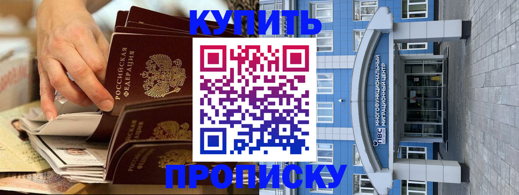 прописка гарантия в Звенигороде